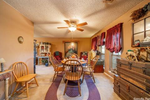 441 Golden Rd, Mount Ida, AR 71957 photo 3