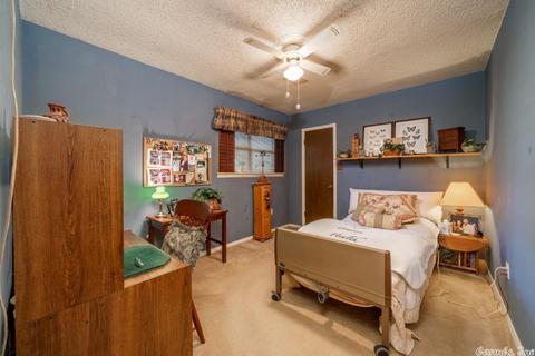 441 Golden Rd, Mount Ida, AR 71957 photo 16