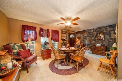 441 Golden Rd, Mount Ida, AR 71957 photo 4