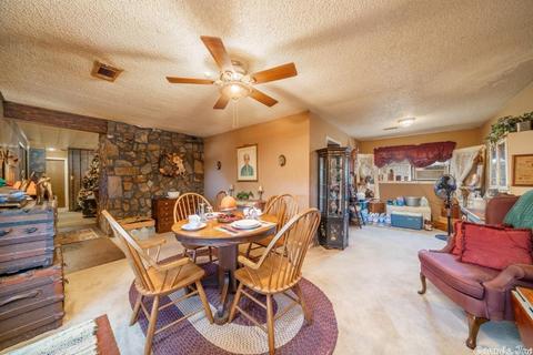 441 Golden Rd, Mount Ida, AR 71957 photo 5
