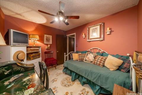 441 Golden Rd, Mount Ida, AR 71957 photo 20