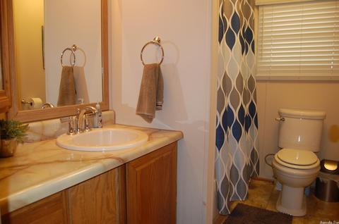 47 Wehmeyer Loop, Mountain Home, AR 72653 photo 8