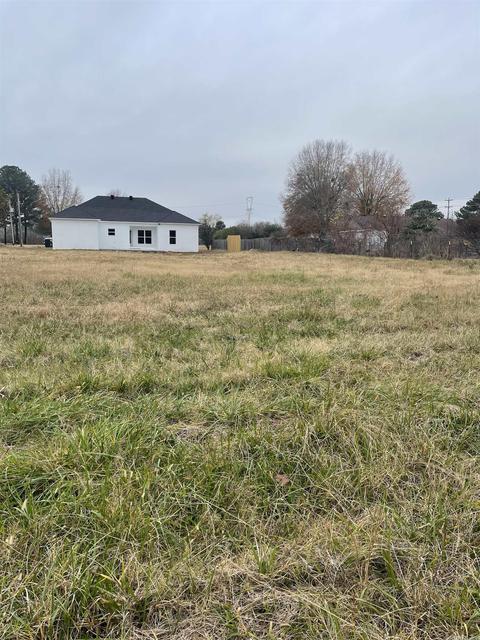 103 Eve, Conway, AR 72034 photo 20