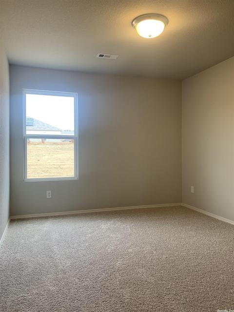 33 Winter Valley Dr, Conway, AR 72032 photo 11