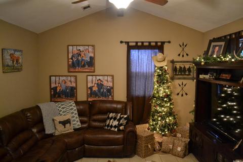 161 Hershel Casto Rd, Leslie, AR 72645 photo 17
