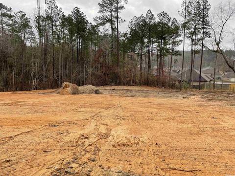 3007 Sue St, Benton, AR 72015 photo 23