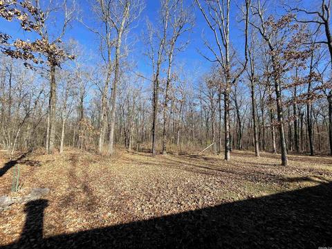 644 Tippitt Rd, Lonoke, AR 72086 photo 17
