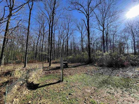 644 Tippitt Rd, Lonoke, AR 72086 photo 19