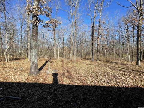 644 Tippitt Rd, Lonoke, AR 72086 photo 16