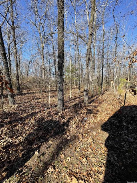 644 Tippitt Rd, Lonoke, AR 72086 photo 14