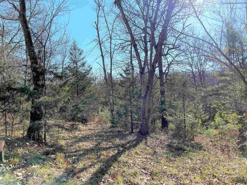10 Hickory Ct, Ash Flat, AR 72513 photo 2