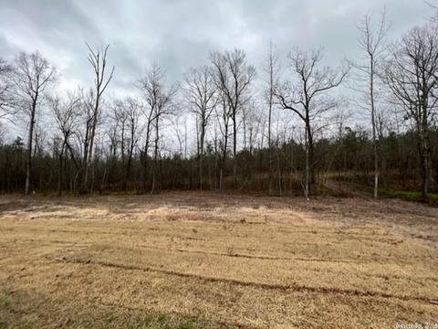 689 Lucy Ln, Alexander, AR 72002 photo 27