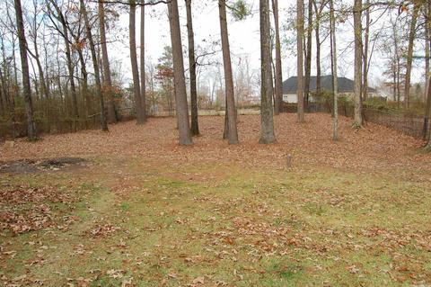 1115 Ruby Dr, Redfield, AR 72132 photo 34