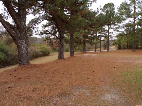 339 School St, Amity, AR 71921 photo 37