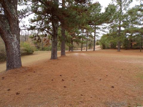339 School St, Amity, AR 71921 photo 38