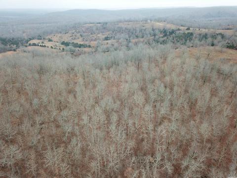tbd Bakers Frd, Mammoth Spring, AR 72554 photo 11