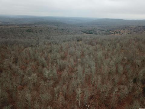 tbd Bakers Frd, Mammoth Spring, AR 72554 photo 7