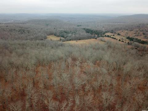 tbd Bakers Frd, Mammoth Spring, AR 72554 photo 13