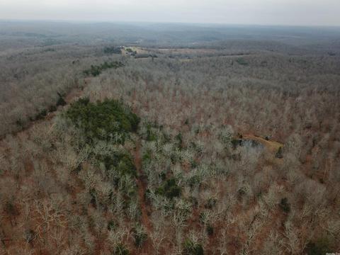 tbd Bakers Frd, Mammoth Spring, AR 72554 photo 3