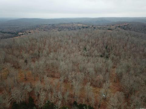 tbd Bakers Frd, Mammoth Spring, AR 72554 photo 8