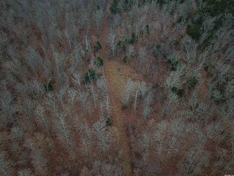 tbd Bakers Frd, Mammoth Spring, AR 72554 photo 5
