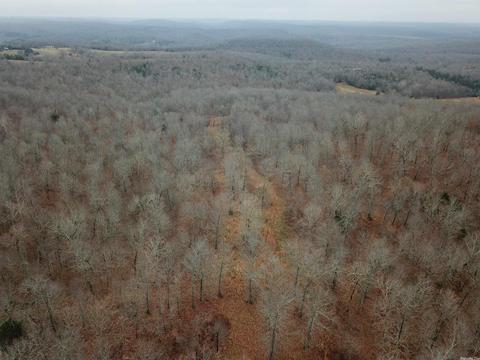 tbd Bakers Frd, Mammoth Spring, AR 72554 photo 9