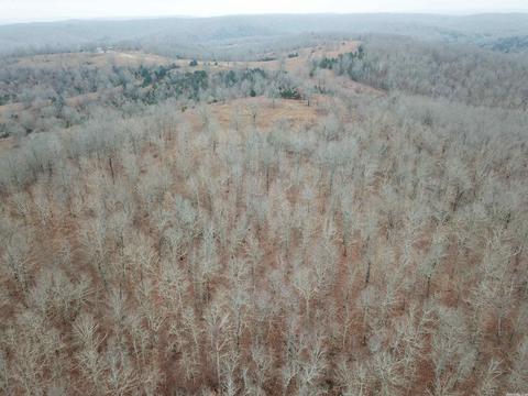 tbd Bakers Frd, Mammoth Spring, AR 72554 photo 12
