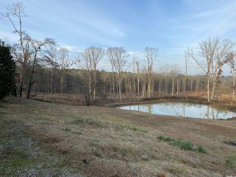 934 Graham Rd, Benton, AR 72015 photo 3