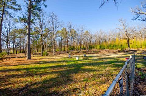 207 Pickles Gap Rd, Conway, AR 72032 photo 3