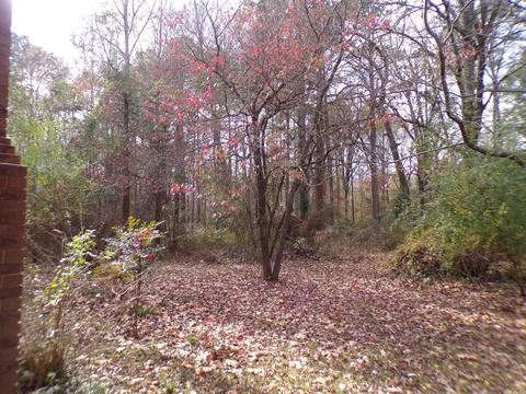 1801 W W Pne, Warren, AR 71671 photo 7