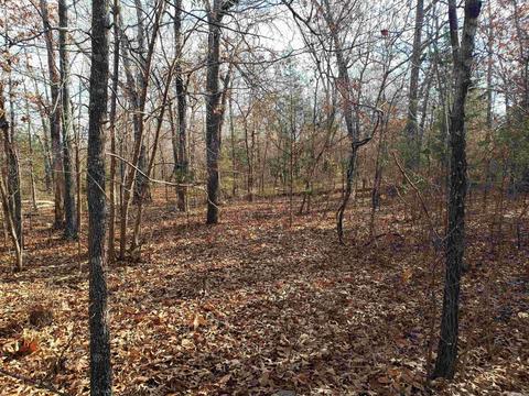 9 Poteau Drive # l, Cherokee Village, AR 72529