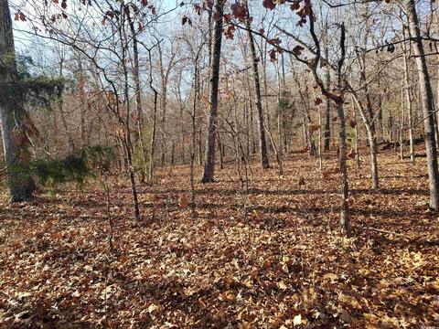 L-61 & 62, Cherokee Village, AR 72529