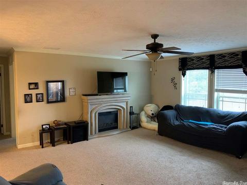 999 Libby Ln, Dennard, AR 72629 photo 16
