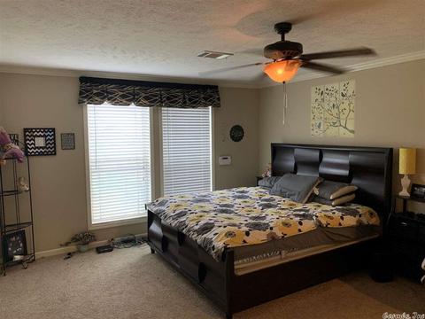 999 Libby Ln, Dennard, AR 72629 photo 18