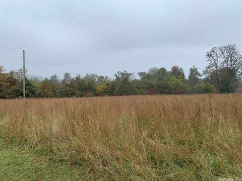 999 Libby Ln, Dennard, AR 72629 photo 6