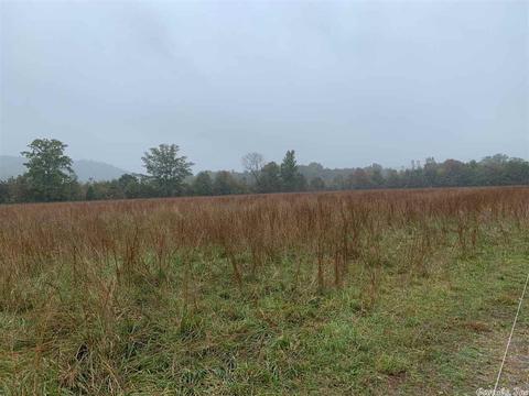 999 Libby Ln, Dennard, AR 72629 photo 7
