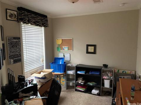 999 Libby Ln, Dennard, AR 72629 photo 10