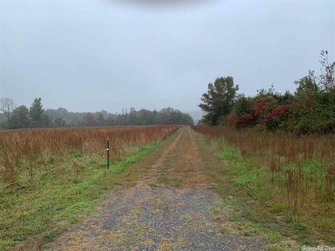 999 Libby Ln, Dennard, AR 72629 photo 4