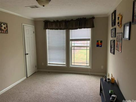 999 Libby Ln, Dennard, AR 72629 photo 14