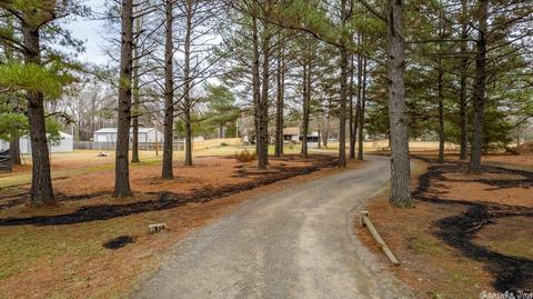124 Gibbons Estate Rd, Beebe, AR 72012 photo 7