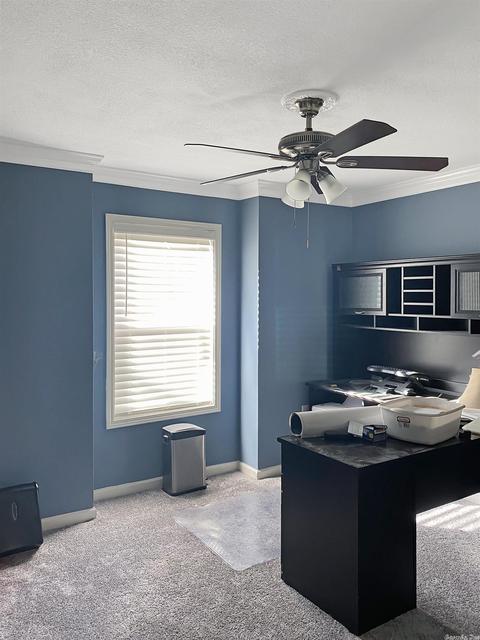 116 James Rd, Conway, AR 72032 photo 16