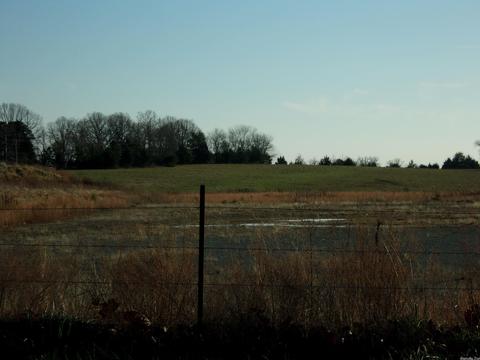 4751 Ranch Rd, Bee Branch, AR 72013 photo 4