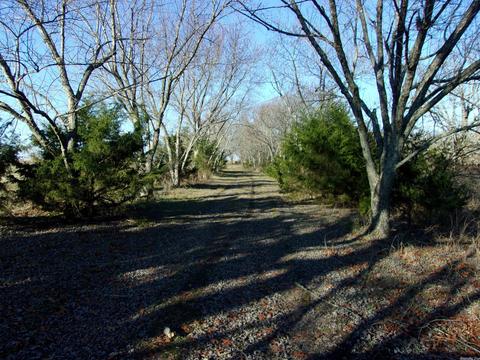 4751 Ranch Rd, Bee Branch, AR 72013 photo 27
