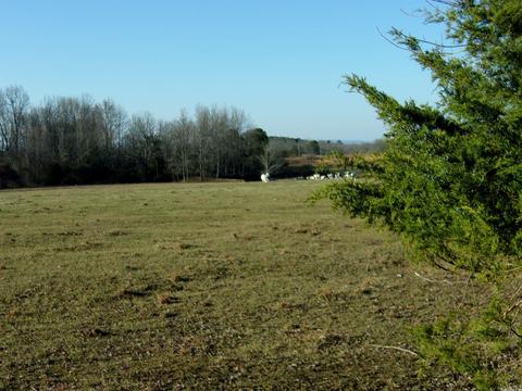4751 Ranch Rd, Bee Branch, AR 72013 photo 13