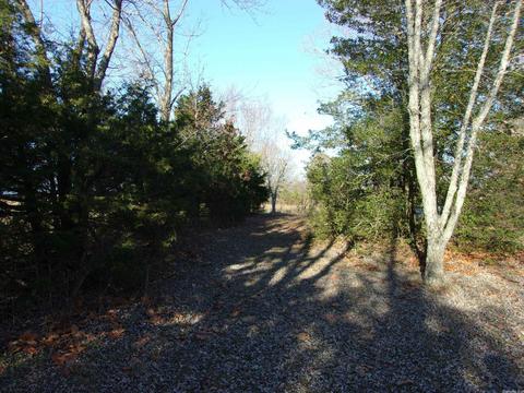 4751 Ranch Rd, Bee Branch, AR 72013 photo 20