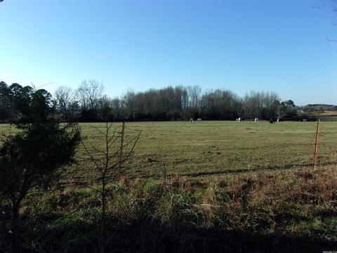 4751 Ranch Rd, Bee Branch, AR 72013 photo 6