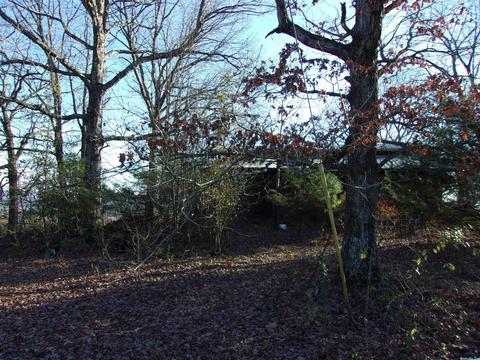 4751 Ranch Rd, Bee Branch, AR 72013 photo 8