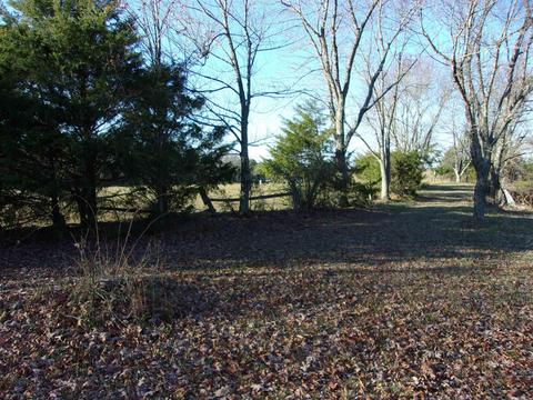 4751 Ranch Rd, Bee Branch, AR 72013 photo 11
