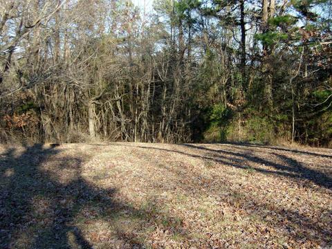 4751 Ranch Rd, Bee Branch, AR 72013 photo 14