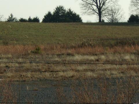 4751 Ranch Rd, Bee Branch, AR 72013 photo 3